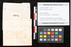 Foto (Objekt + Etikett) von Pinus holothana Unger (NHMW-GEO-2024-0188-8084)